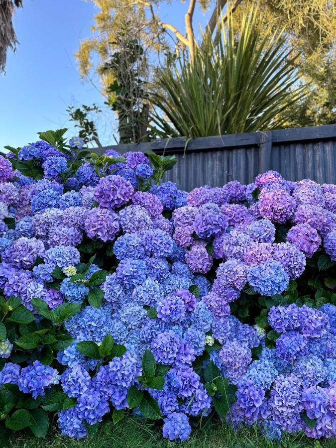 Central Garden Guest House Motueka Exterior photo